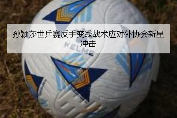 sun-ying-sha-shi-ping-sai-fan-shou-bian-xian-zhan-shu-ying-dui-wai-xie-hui-xin-xing-chong-ji-3-548.jpg