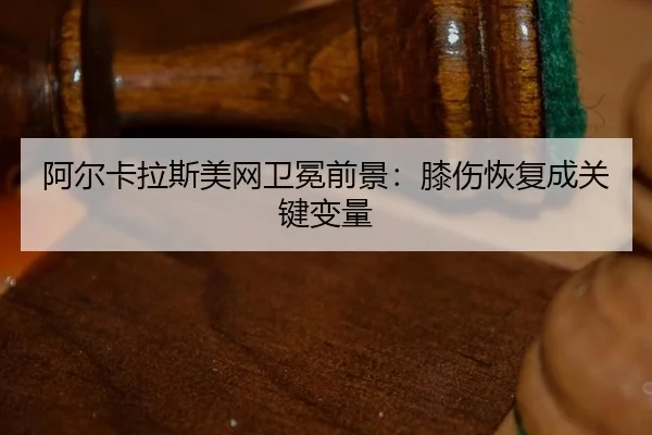 a-er-ka-la-si-mei-wang-wei-mian-qian-jing-xi-shang-hui-fu-cheng-guan-jian-bian-liang-2-387.jpg