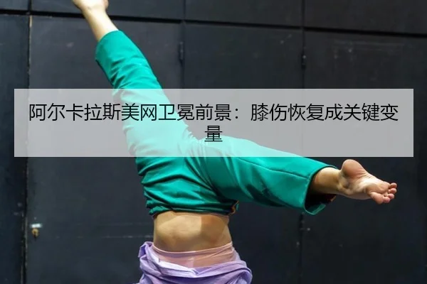 a-er-ka-la-si-mei-wang-wei-mian-qian-jing-xi-shang-hui-fu-cheng-guan-jian-bian-liang-3-923.jpg