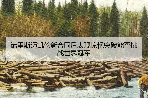 nuo-li-si-mai-kai-lun-xin-he-tong-hou-biao-xian-jing-yan-tu-po-neng-fou-tiao-zhan-shi-jie-guan-jun-3-791.jpg