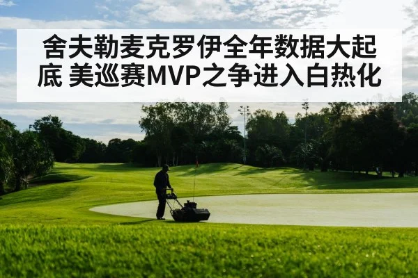 舍夫勒麦克罗伊全年数据大起底 美巡赛MVP之争进入白热化